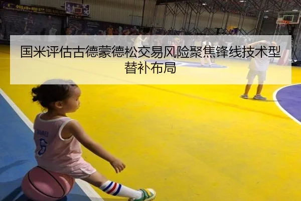国米评估古德蒙德松交易风险聚焦锋线技术型替补布局